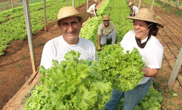 DAP e CAF são exigidos, por exemplo, para assegurar benefício do Garantia Safra. (foto - Sistema CNA/Senar)