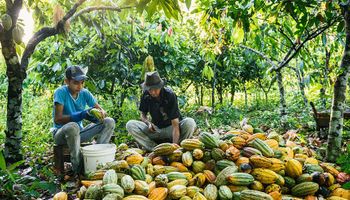 Senado analisa projeto que incentiva a agricultura familiar com recursos de multas ambientais