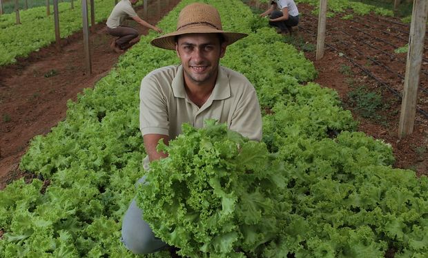 Selos trazem informações das características dos produtores. (Foto: Sistema Senar/CNA)