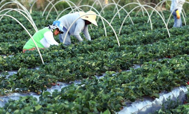 Tecnologia será oferecida ao Ministério do Desenvolvimento Agrário. (Foto - Valter Campanato/Ag. Brasil)