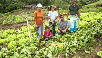 Informação de que agricultura familiar produz 70% dos alimentos é falsa