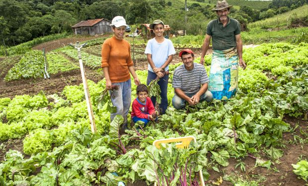 Informação De Que Agricultura Familiar Produz 70 Dos Alimentos é Falsa Agrofy News 1120