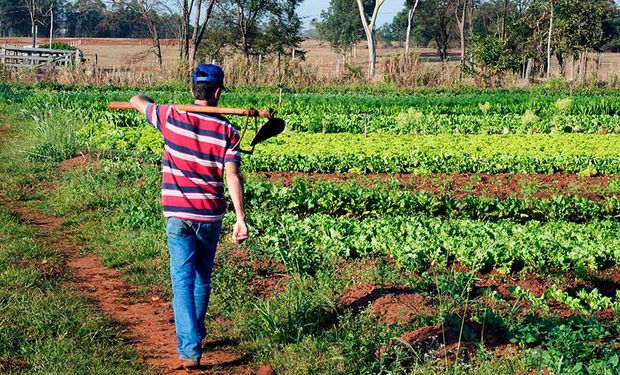 Programa é atualizado e amplia presença da agricultura familiar na produção de biodiesel