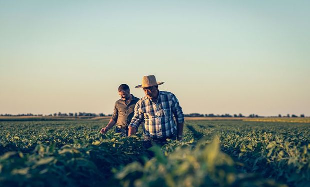 Produção agrícola esta concentrada em poucas culturas e que; em geral, são as mais vulneráveis, diz o estudo. (foto - FGV)