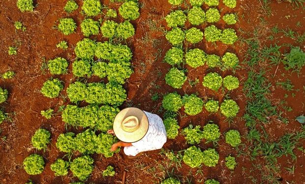 Fundo internacional destina US$ 182 milhões para apoiar pequenos produtores na luta contra a fome