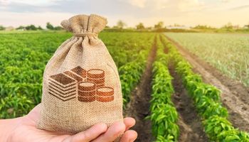 Governo destina R$ 26,5 milhões para fortalecer a agricultura familiar