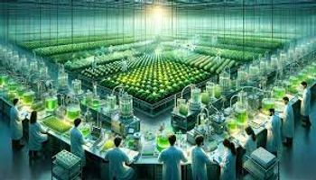 Agricultura molecular: a incrível técnica que produz “ovo em batata” ou “carne em alface”
