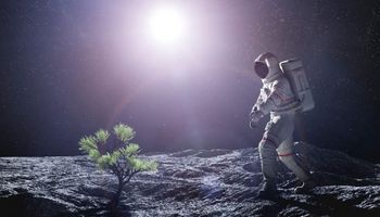 Minhocas ajudam cientistas a germinar sementes em solo lunar pela primeira vez