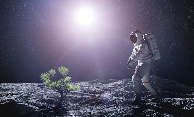 Minhocas ajudam cientistas a germinar sementes em solo lunar pela primeira vez