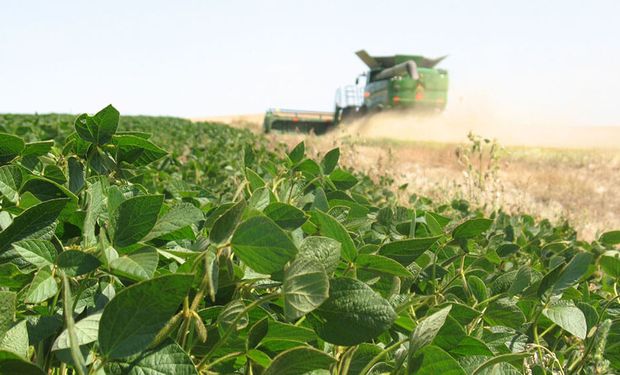 Altas temperaturas y sequía golpearon a la soja y cae la producción por debajo de los 49 millones de toneladas