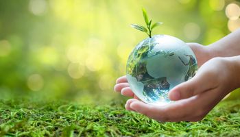 Brasil e agro respondem, respectivamente, por 2,5% e 12,8% das emissões globais de CO2