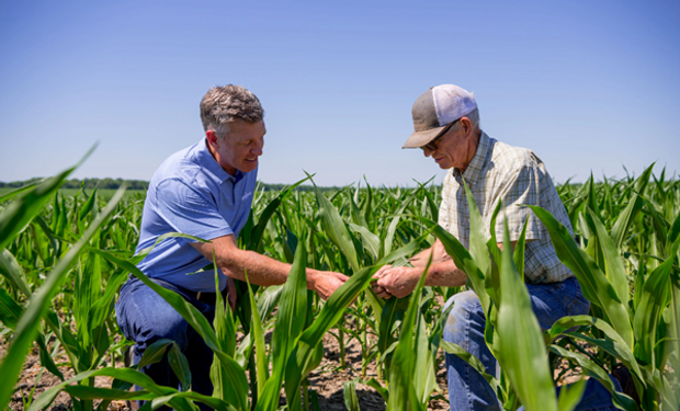 La nueva era de una de las principales empresas agrícolas del mundo: los cuatro pilares que marcan "el camino hacia el campo que queremos"