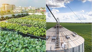 Estudio inédito sobre huertas urbanas vs. agricultura tradicional: qué actividad tiene mayor huella de carbono