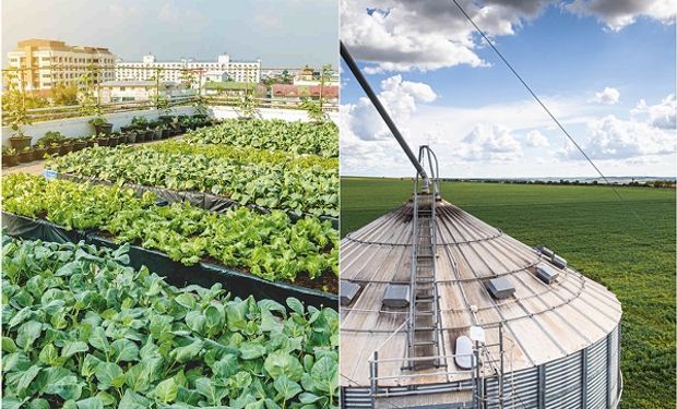 Estudio inédito sobre huertas urbanas vs. agricultura tradicional: qué actividad tiene mayor huella de carbono