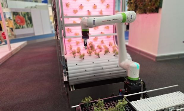 El nuevo concepto de agricultura que ya se ve en Europa: nebulización de plantas, crecimiento acelerado y hasta programación del sabor