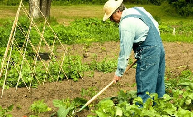 Santiago Hardie se refirió a los despidos en Agricultura familiar.