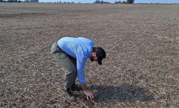 ¿La agricultura sigue siendo negocio?