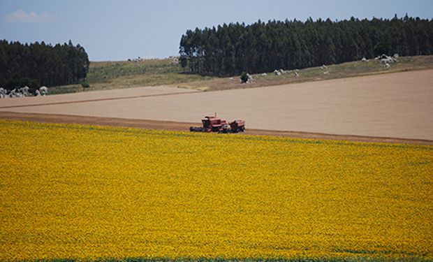 El reto se vuelve estratégico en un escenario que proyecta incertidumbre climática, deterioro ambiental y mayor demanda de alimentos y energía.