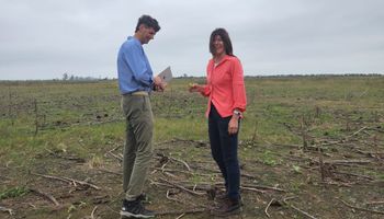 Cada vez más productores argentinos cobran más por aplicar agricultura regenerativa: los cinco pilares de manejo que permiten acceder a este mercado diferencial