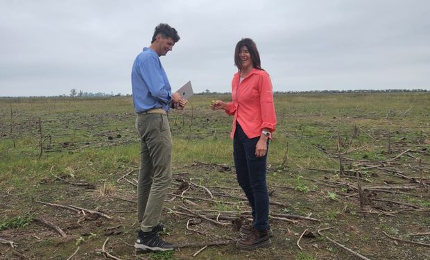 Cada vez más productores argentinos cobran más por aplicar agricultura regenerativa: los cinco pilares de manejo que permiten acceder a este mercado diferencial