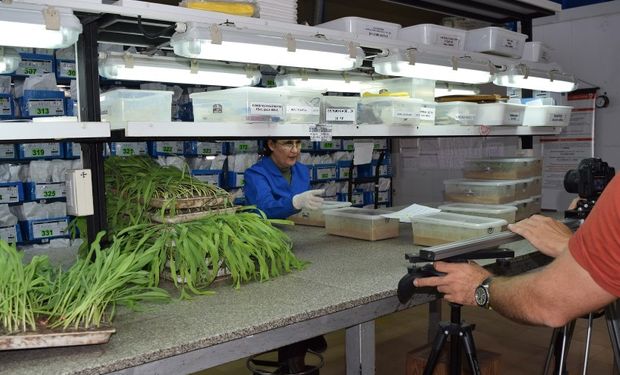 Comienza el nuevo ciclo del programa Agricultura Consciente de Nidera.