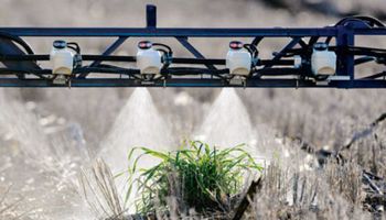 La robótica y el automatismo ya son una realidad en el campo argentino