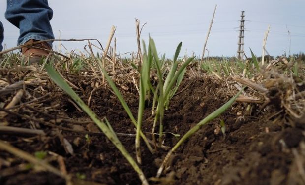 La oportunidad detrás de la huella hídrica: ¿Podemos convertir una ventaja comparativa en una competitiva?