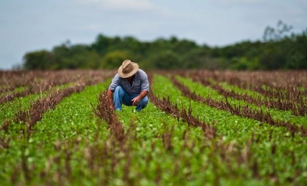 Los retos para la agricultura en la región no solamente están relacionados con la producción.