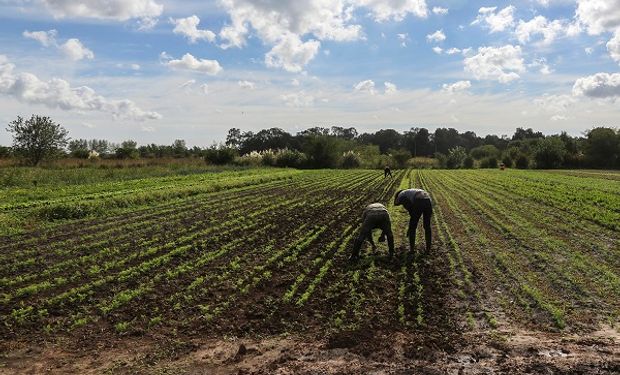 Agricultura familiar: Federación Agraria presentó 15 propuestas para potenciar el sector