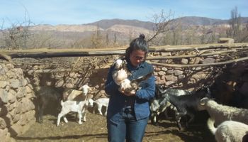 Se aprobó la eximición de aranceles para la agricultura familiar