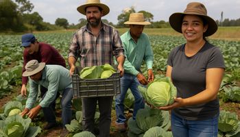 Banco Mundial e Governo de SP anunciam programa bilionário para o agro sustentável