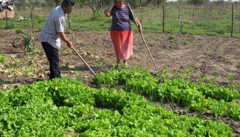 La agricultura familiar podría mejorar su actividad con la tecnología digital