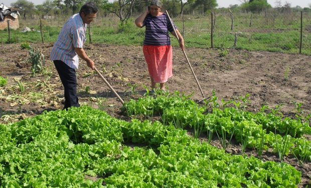 El 69 por ciento de los productores argentinos son agricultores familiares.