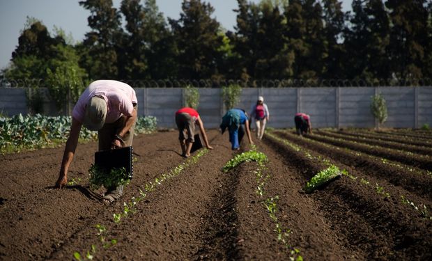 Contra la "pobreza rural", el Gobierno creó un programa para la Agricultura Familiar, Campesina e Indígena