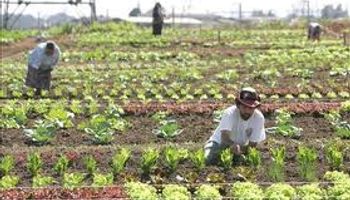 El potencial de la pequeña agricultura en la región