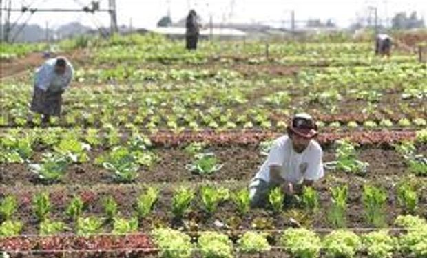 El potencial de la pequeña agricultura en la región