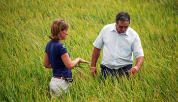 En un paso clave para la agricultura regenerativa, la empresa argentina PUMA se unió a la estadounidense Regrow Ag: buscan crear un estándar unificado para la producción