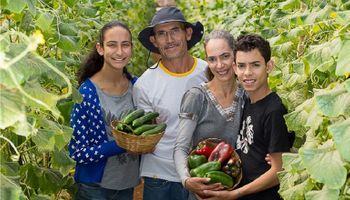 Plano Safra será de R$ 77,7 bilhões para pequenos produtores e agricultura familiar