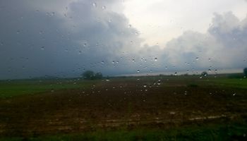 Clave para el agro: qué zonas podrían recibir más lluvias en los próximos tres meses
