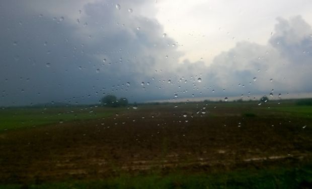 Clave para el agro: qué zonas podrían recibir más lluvias en los próximos tres meses