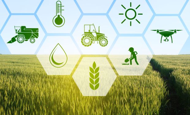 Blockchain, token y agro: cómo funciona la tecnología que revoluciona a la economía