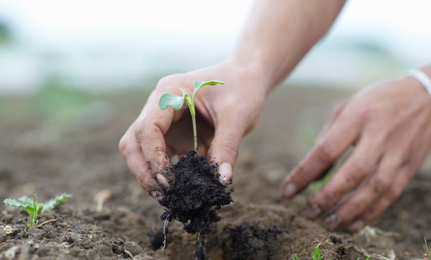 Dia da Terra: agropecuária pode ser parte da solução