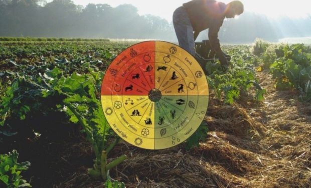 ¿Qué es la agricultura biodinámica?