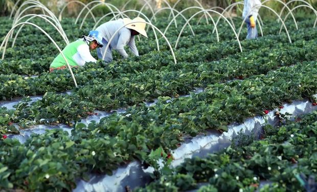 Além de aumentar o orçamento, amplia o acesso a pessoas físicas. (Foto - Ag. Brasil)