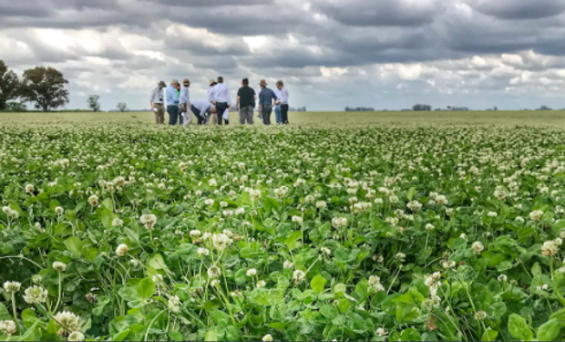 Incertidumbre: el factor que más peso negativo tiene sobre el negocio agropecuario