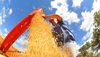 Agro puxa crescimento e leva oito estados a superar a média nacional em 2023