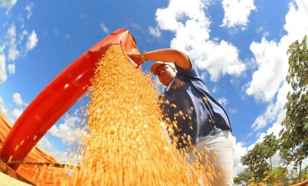 Agro puxa crescimento e leva oito estados a superar a média nacional em 2023