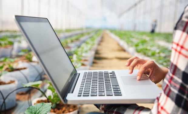 Como a inovação torna possível um futuro mais digital para o agronegócio?