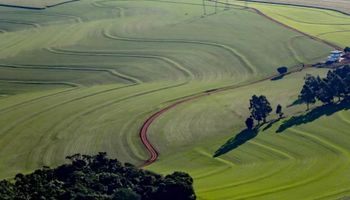 Paraná libera R$ 12,7 milhões para subvenção ao seguro rural em 2023