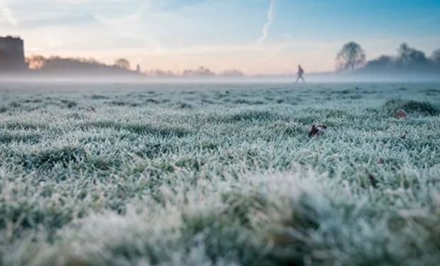 ¿Más frio de los esperado? Qué qué dice el pronóstico del tiempo para el agro